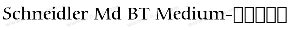 Schneidler Md BT Medium字体转换